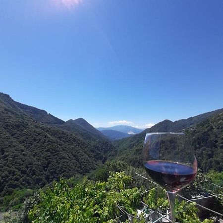 B&B La Locanda Del Cinghiale Aurano エクステリア 写真