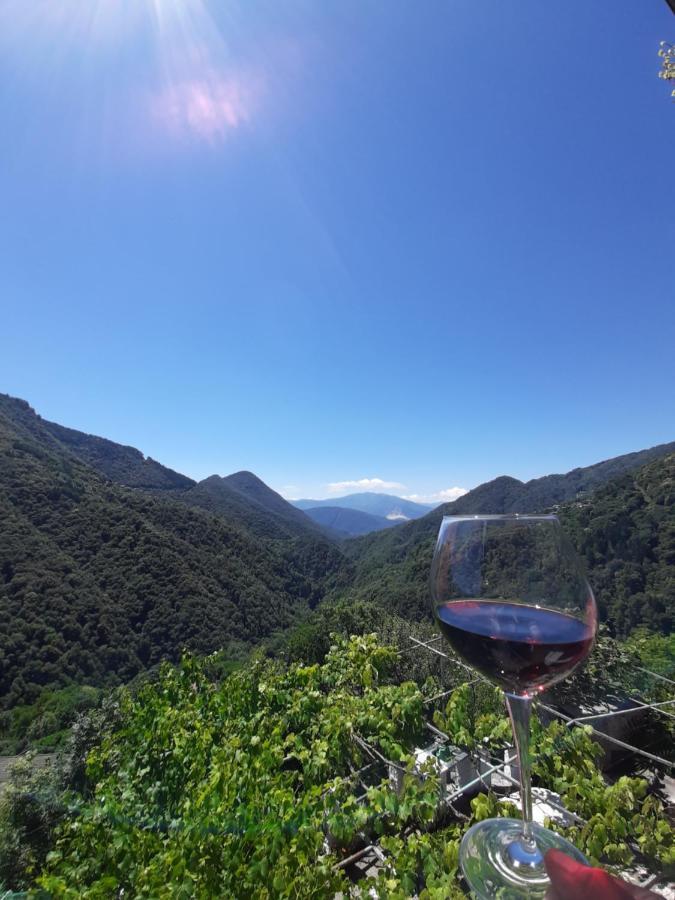 B&B La Locanda Del Cinghiale Aurano エクステリア 写真