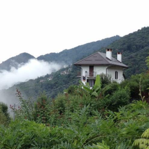 B&B La Locanda Del Cinghiale Aurano エクステリア 写真
